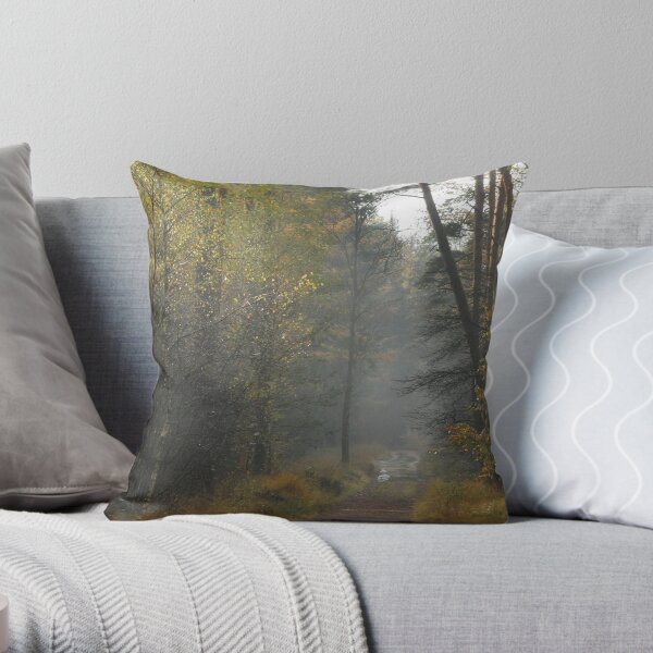 Another misty November morning memory Throw Pillow