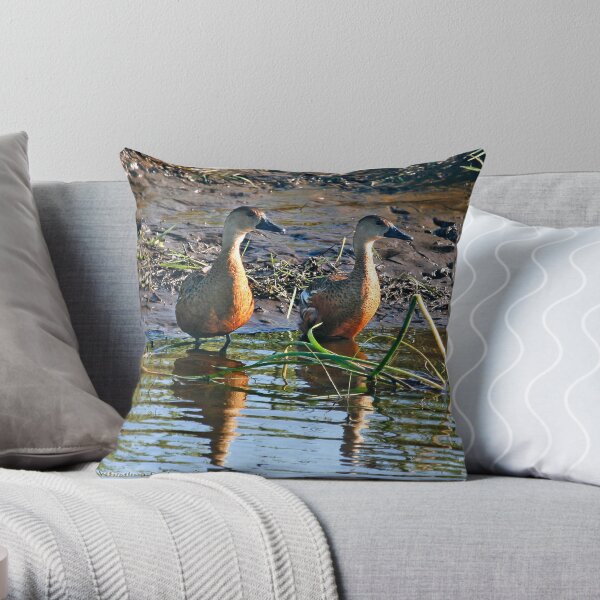 Wandering Whistling-Duck, Throw Pillow