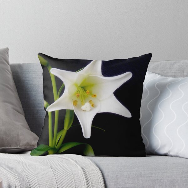 Aperçu de l'œuvre White Lily in bloom créée et vendue par andyw.