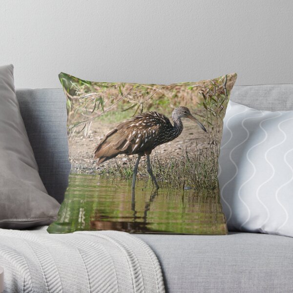 Beautiful Feathers Throw Pillow