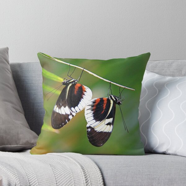 Item preview, BACK TO BACK designed and sold by robertpearson.