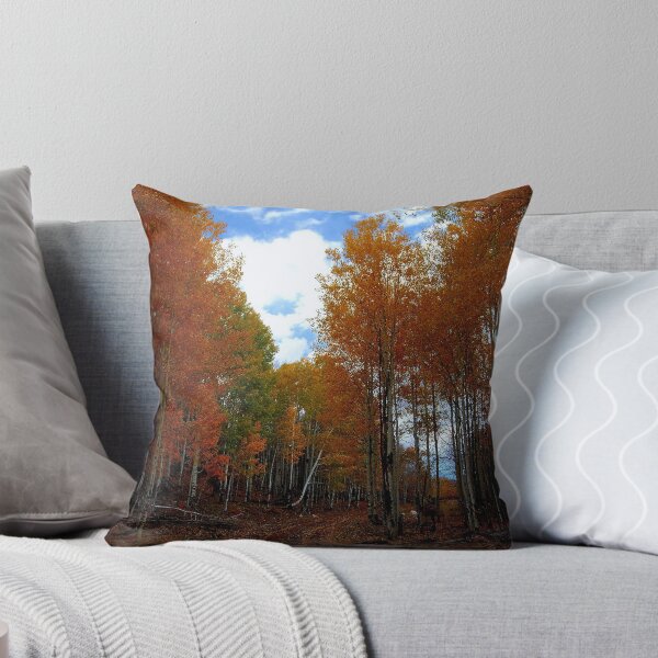 Item preview, Fall Colors designed and sold by DanTheBugleMan.