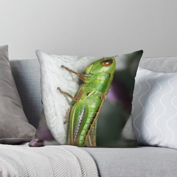 Artikelvorschau, Grasshopper entworfen und verkauft von Bandicoot.