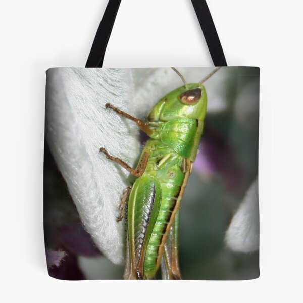 Artikelvorschau, Grasshopper entworfen und verkauft von Bandicoot.