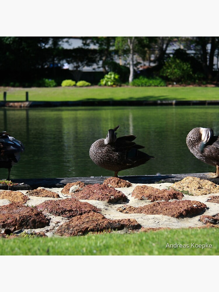Thumbnail 4 of 4, Pillow, Ducks standing in a line designed and sold by mistered.