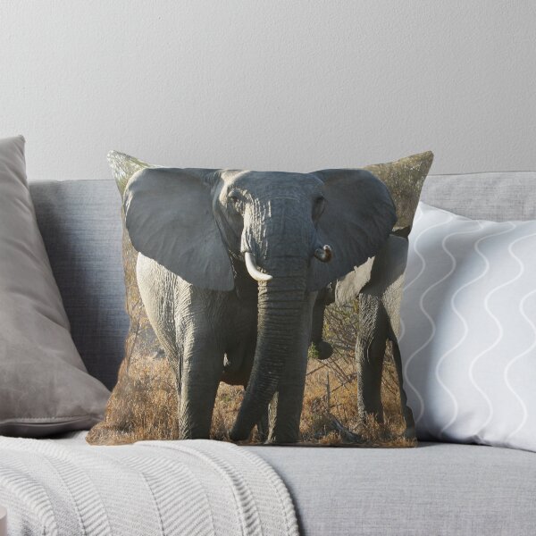 Item preview, Elephant - Kruger National Park, South Africa, July 2008 designed and sold by Sarah Doornbusch.