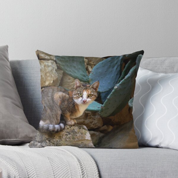 Item preview, Gozitan cat 1 designed and sold by M G Pettett.