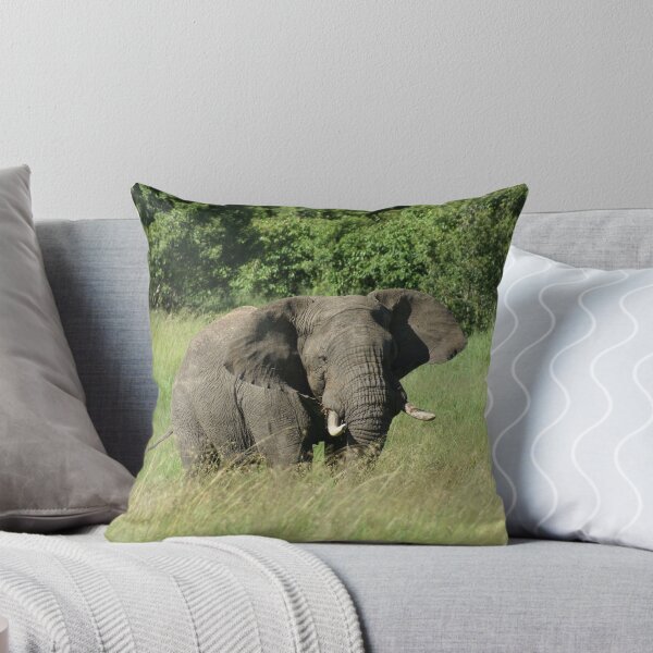 Item preview, Serengeti Bull designed and sold by Rosie Appleton.