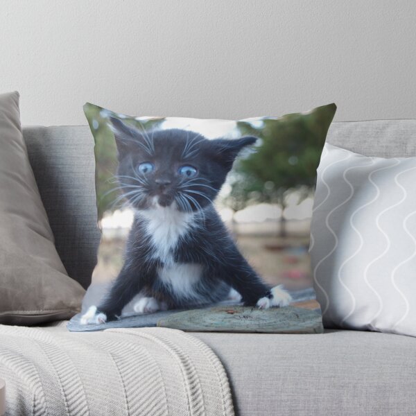 Oh My! Throw Pillow