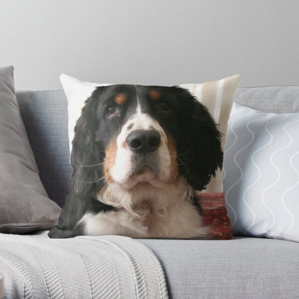 Mr. Darcy Throw Pillow
