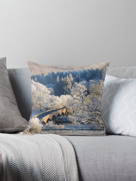 winter light Throw Pillow