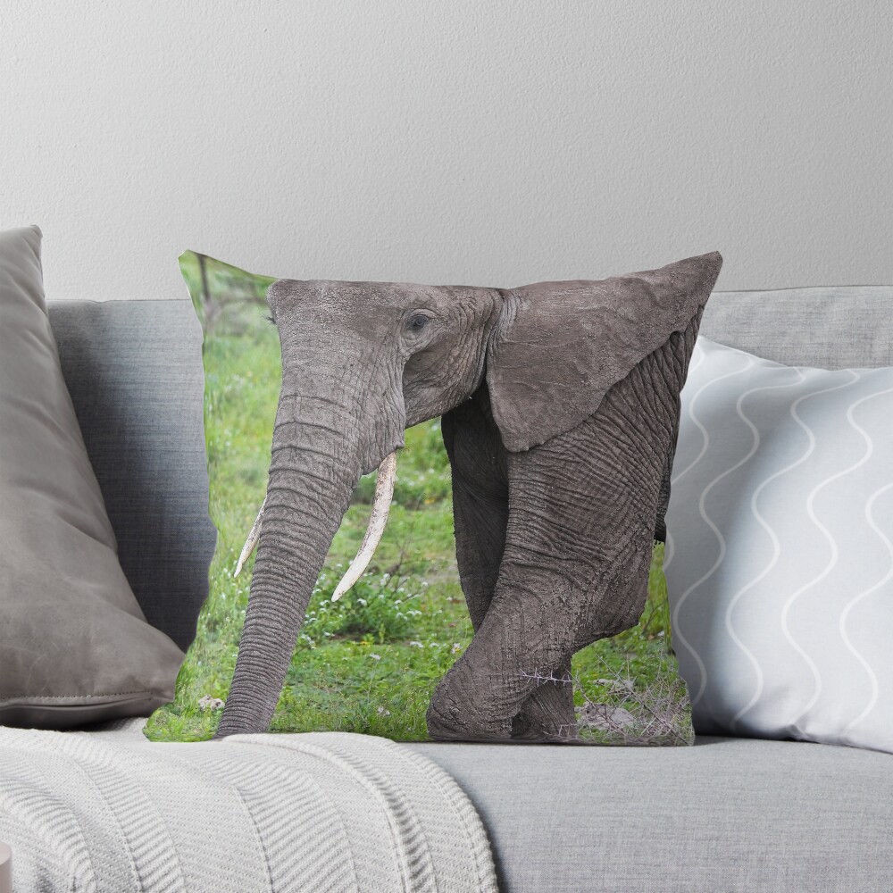 Item preview, Throw Pillow designed and sold by nstanev.
