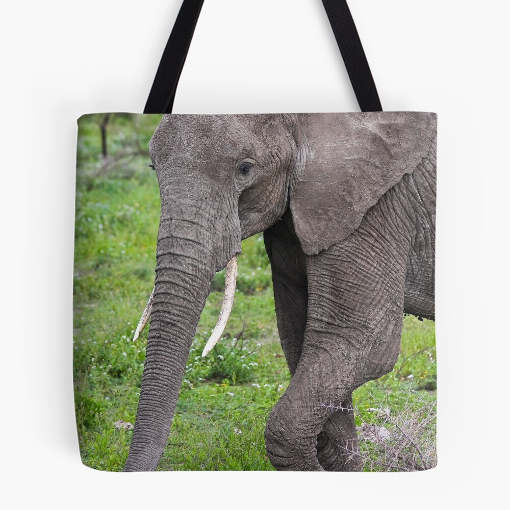 Item preview, All Over Print Tote Bag designed and sold by nstanev.