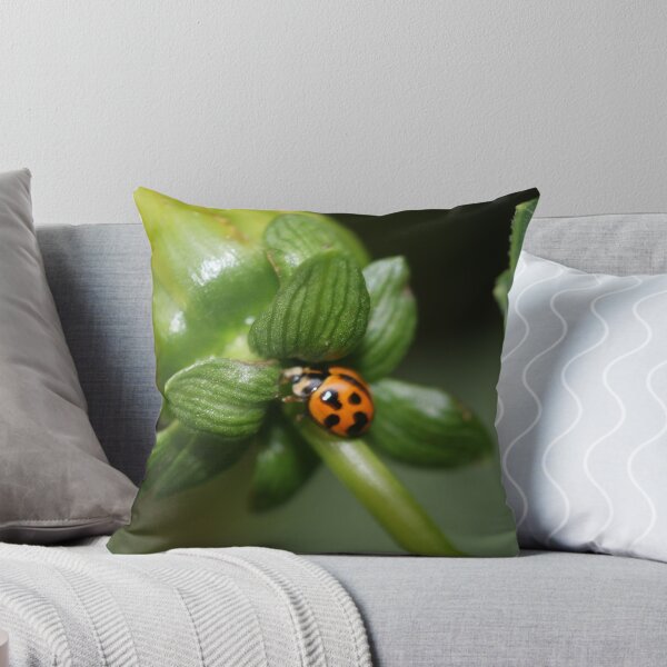 Item preview, Lady Beetles Home designed and sold by Auntymazza.