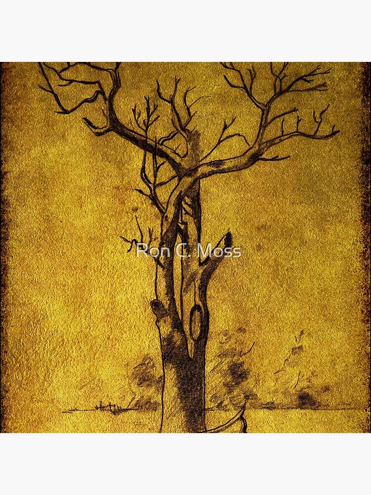 dead tree near Ross by ronmoss