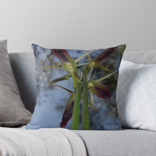Item preview, Large Tongue Orchid "Cryptostylis subulata" #1 designed and sold by Rosie Appleton.