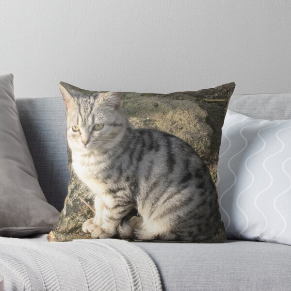 Item preview, Cats designed and sold by erdogan49.