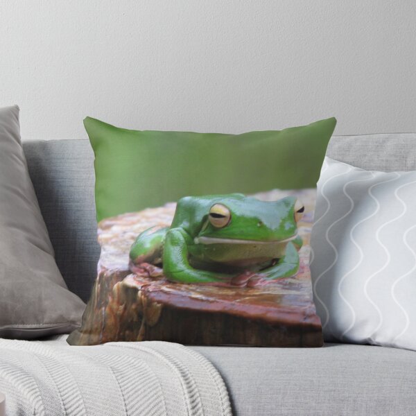 Item preview, Frog on a Log. designed and sold by Sue Wickes.