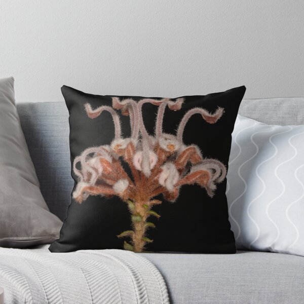 Item preview, Gray Spider Flower designed and sold by MareeDavy.