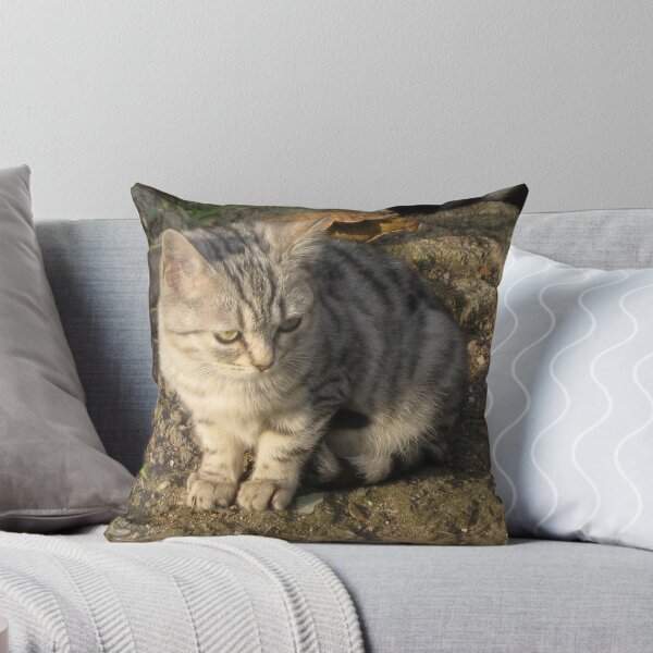 Item preview, Cats designed and sold by erdogan49.