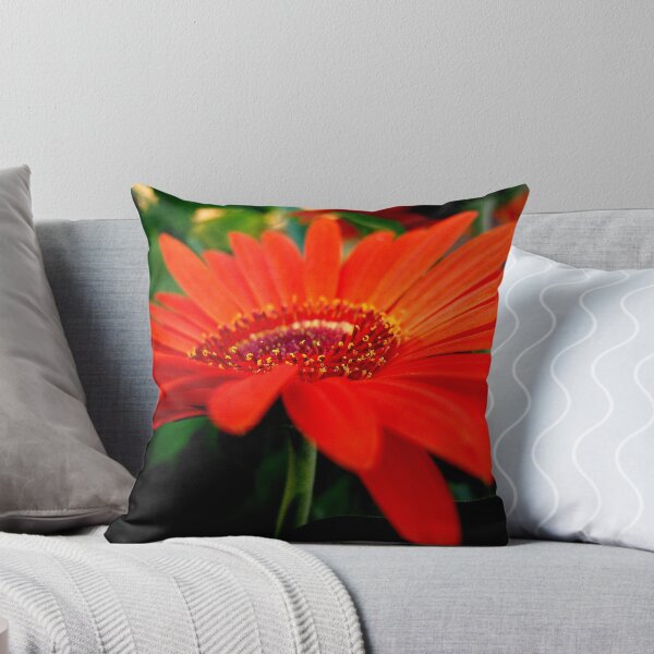 Item preview, Gerbera Daisy 6 designed and sold by DottieDees.