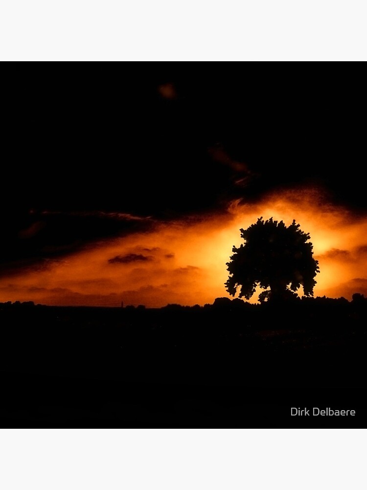 Tree, Darkness by Delbaere