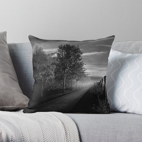 Path in the evening Throw Pillow