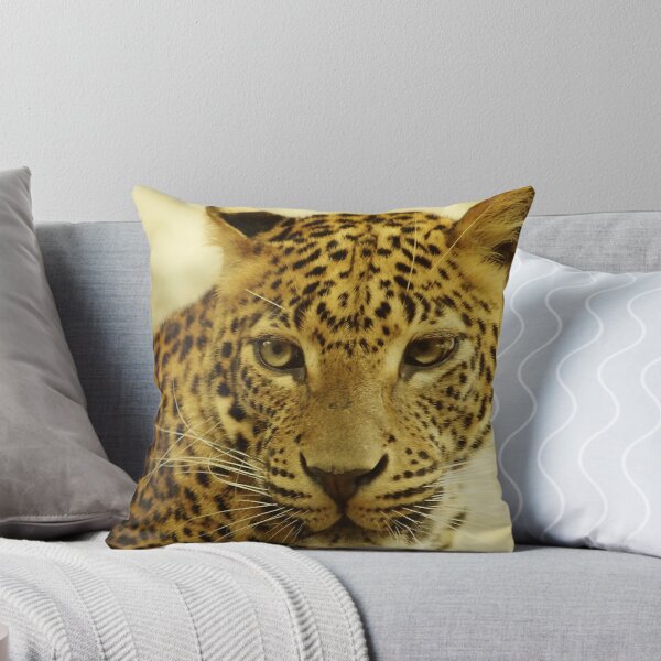 Artikelvorschau, leopard .. deep stare entworfen und verkauft von stephen lynne.