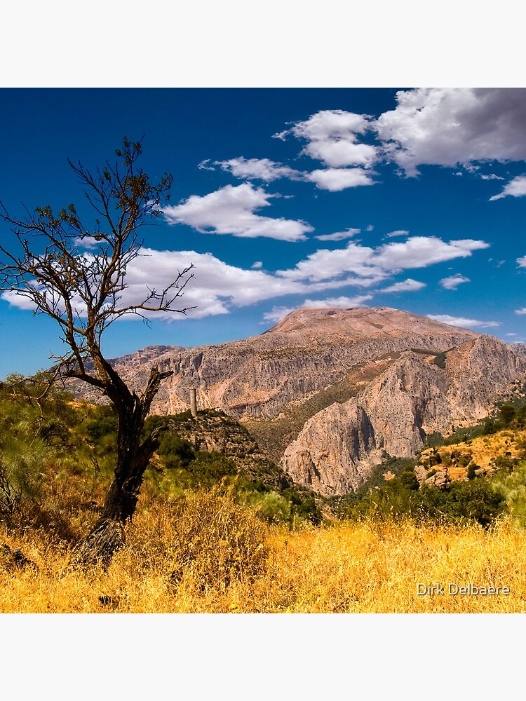 Death tree by Delbaere