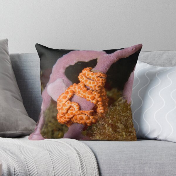Basket Star Throw Pillow