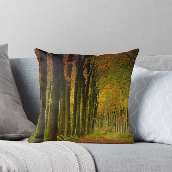 Item preview, Pathway designed and sold by Dirk Delbaere.