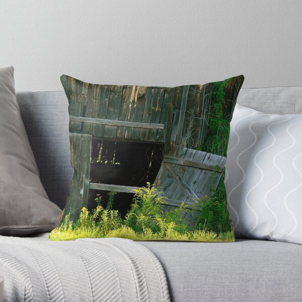 Past Prime Throw Pillow