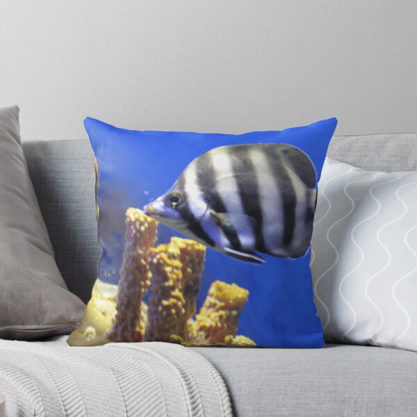 Item preview, Melbourne Aquarium - Display Tank designed and sold by Skyhorse.