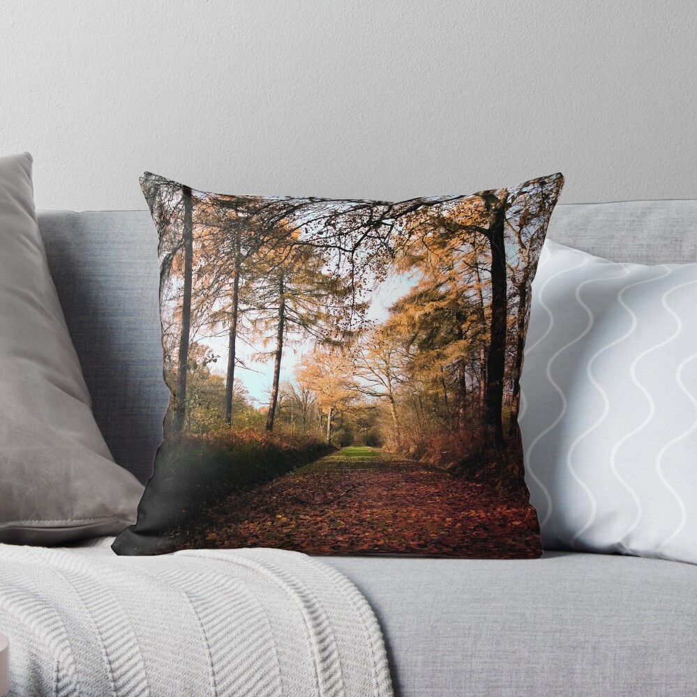 Path Throw Pillow