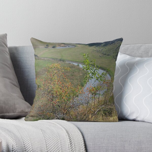 Orheiul Vechi - The River Throw Pillow