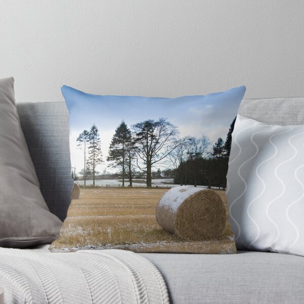 Aperçu de l'œuvre Snowy Hay Bales créée et vendue par DonDavisUK.