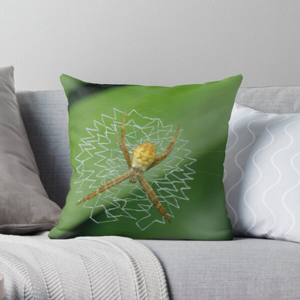 Juvenile St Andrew's Cross Spider Throw Pillow
