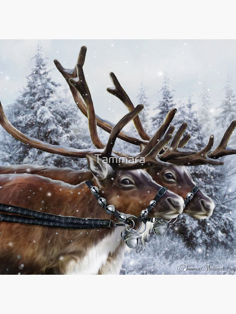 The Christmas Ride by Tammara