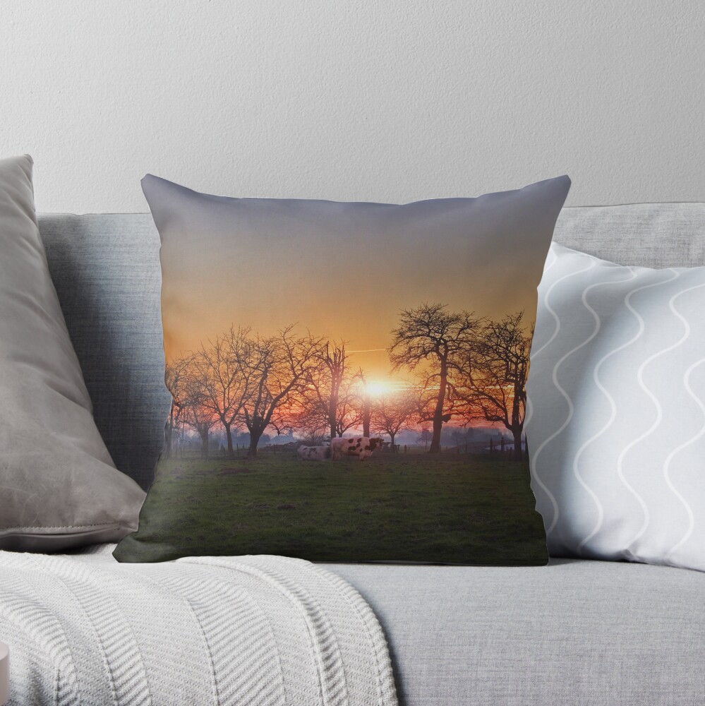 Meigem Throw Pillow