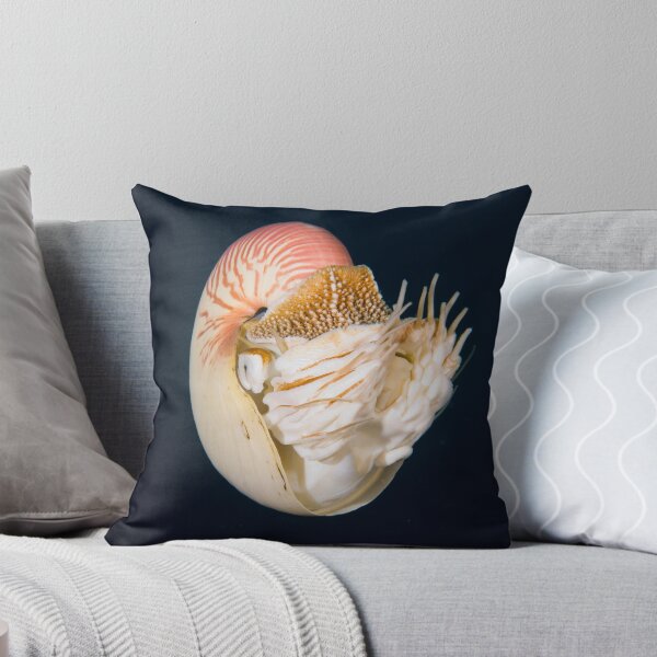 Item preview, Chambered Nautilus designed and sold by Andrew Trevor-Jones.