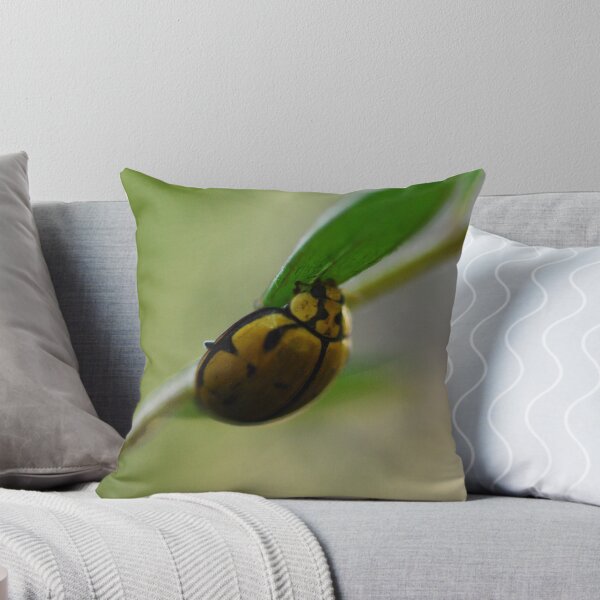 Item preview, Bugs Life designed and sold by Limitlessonline.