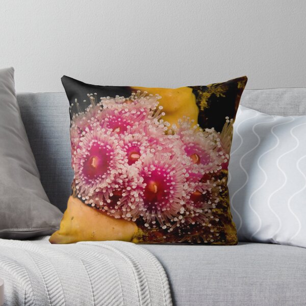 Pink Beauty Throw Pillow