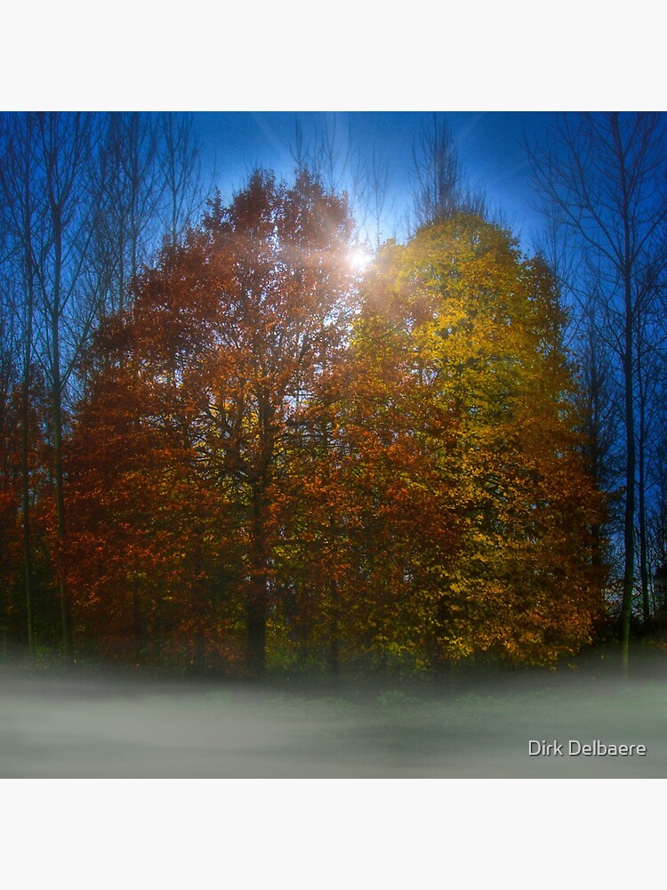 coloured trees by Delbaere