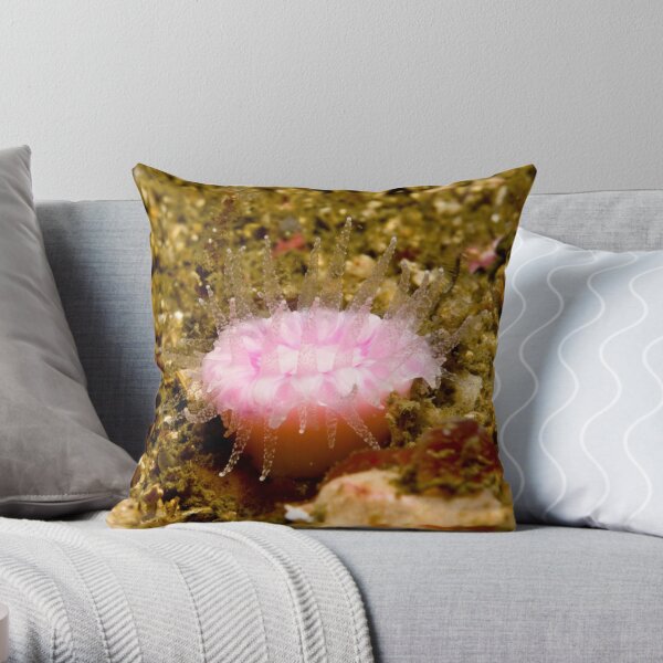 Pink Jewel Anemone Throw Pillow