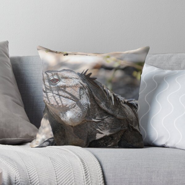 Ricord's Iguana Throw Pillow