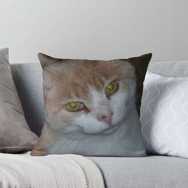 Item preview, Chester designed and sold by ej29.