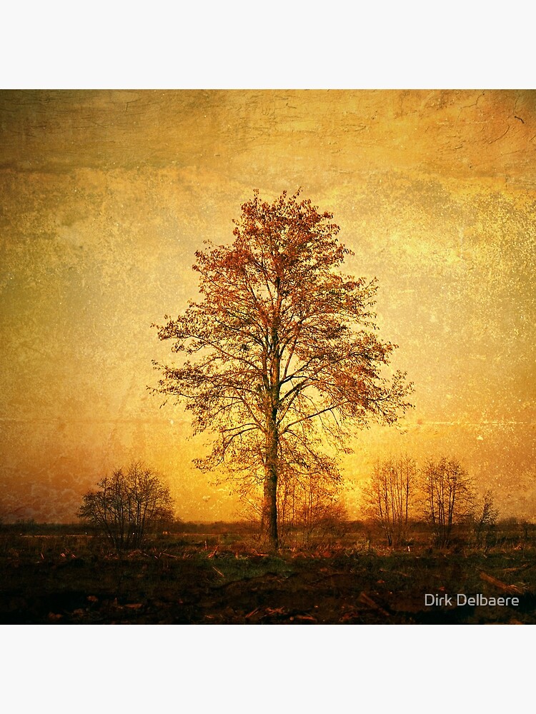 Lonely Tree by Delbaere