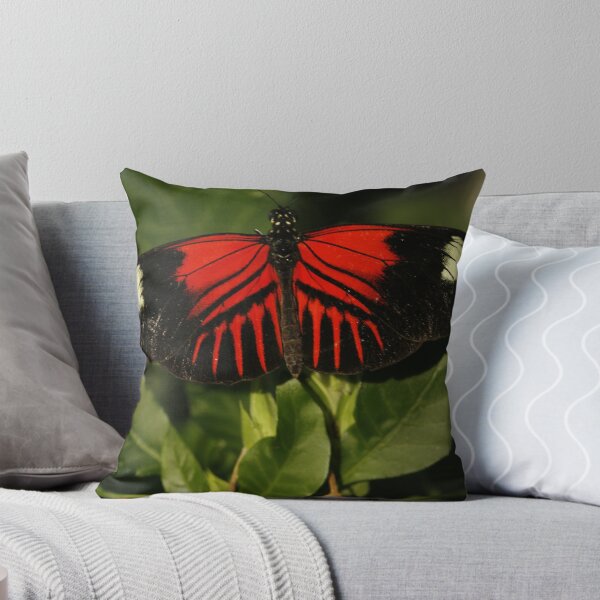 Item preview, Postman Longwing Closeup designed and sold by Adam Bykowski.