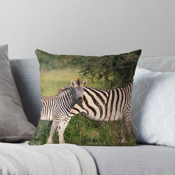Item preview, Zebra & Baby designed and sold by Kevin Jeffery.