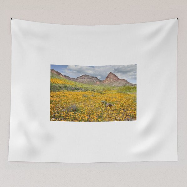 Item preview, Boundary Cone Butte designed and sold by Jeff Goulden Photography.